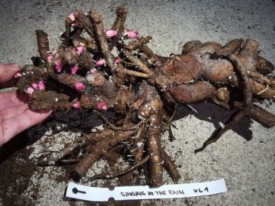 IMG_20251108_220151_result