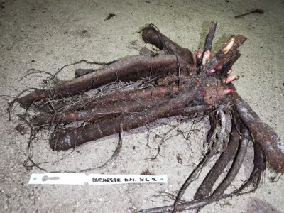 IMG_20251204_200501_result