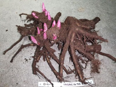 IMG_20260311_182604_result